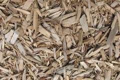 biomass boilers Birchanger